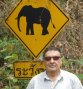 farang avatar
