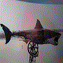 travelinmusic avatar