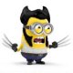 maywarren avatar